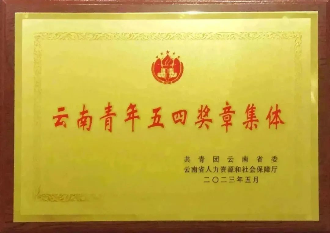 企业荣誉4